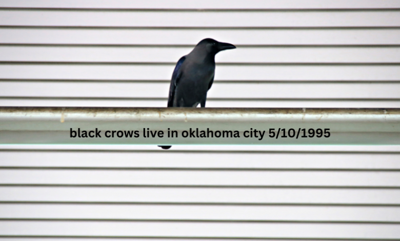 black crows live in oklahoma city 5/10/1995